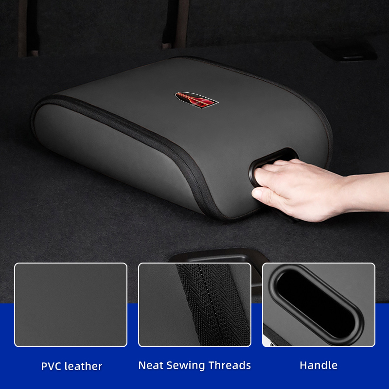 Car Sneaker Bag Shoes Case Gym - Sneaker Care Box 评论和价格